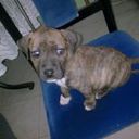 patrick - @PatrickIsaac24 - Twitter