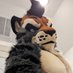 Khoi๐๐FWA (@khoithecoyger) Twitter profile photo Khoi๐๐FWA (@khoithecoyger) Twitter profile photo