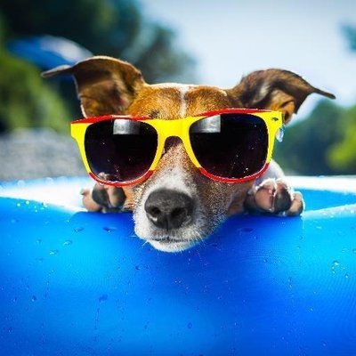 Gian_Nis's profile picture. 