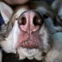 Mark Thiessen (@mthiessen) 's Twitter Profile