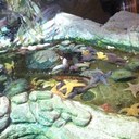 dora cardenas - @gonzalita020 - Twitter