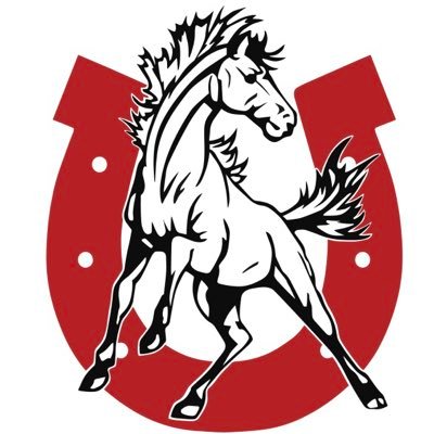 MeridianMustang Profile Picture
