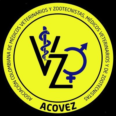 ACOVEZ Profile Picture