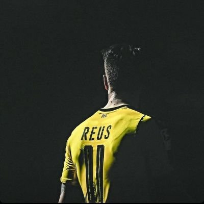 Akim Ibnelhaj  19                                                           

                                                               @BVB  Professionnel