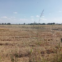 .bas bas (@basbas172806) 's Twitter Profile