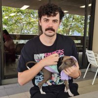 chris (@garflyf) 's Twitter Profile Photo chris (@garflyf) 's Twitter Profile Photo
