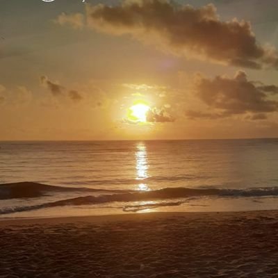 ativo33665249's profile picture. 