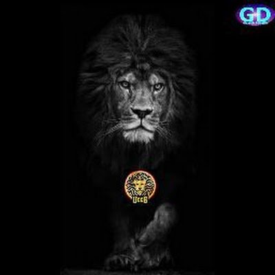 CesarA25392's profile picture. 