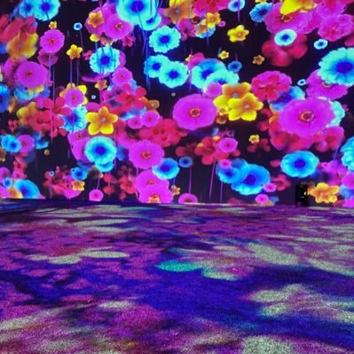 monandachyntia's profile picture. 