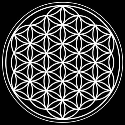 chasemzellner's profile picture. Carpe Diem