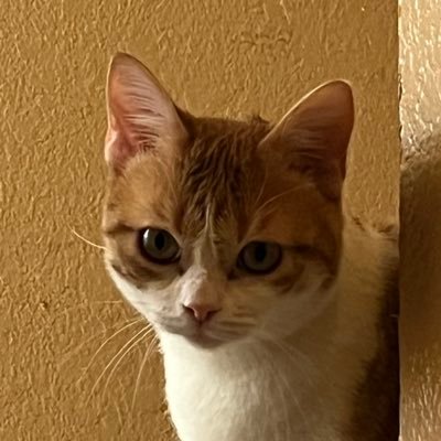 strikesuspended's profile picture. we get high, we get fat🇲🇽