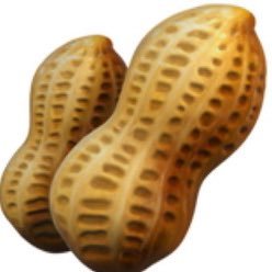 NUTS_onTABLE Profile Picture