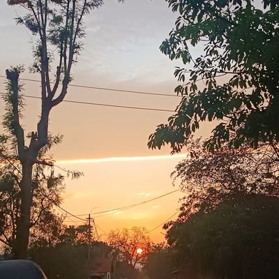 SylviaTh25's profile picture. just me