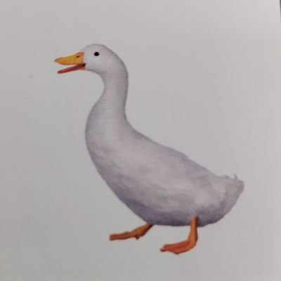 xU9jXXVTfh12478's profile picture. 過去の失敗から学ぶ姿勢を忘れず過ごしたいと思い、恥を忍んで帰ってきました。バイクや武道、日常等つぶやきます。