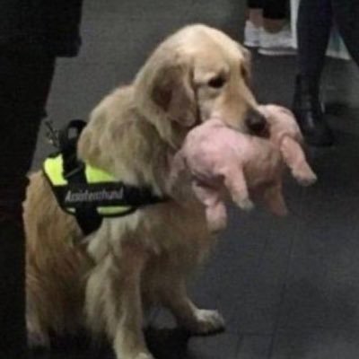 kcuttuck's profile picture. 