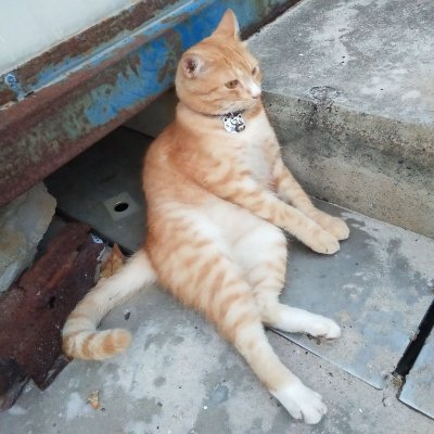 MsterTangworld's profile picture. ็งๆๅไธป๏ผๆ่ฒๅไธป๏ผๅไธ่พพไบบ๏ผ่งๅฏ่
ใไธไบๆดๆ็ๅญฆ้ฎ๏ผไบบๆ
็ป่พพๅณๆ็ซ ๏ผ็จ่ฏญ่จ่ฎฐๅฝ็ๆดป็็พไธๅๆ๏ผๅ่ฏดๅ็งๅๆ ท็ไบบๆๆ
ไบ๏ผ