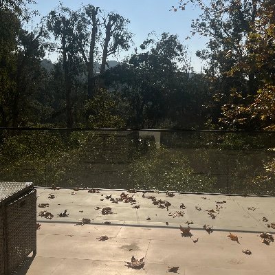 1k1an's profile picture. 