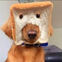𝒪𝓂 𝒫𝒶𝒾 (@pai_c1) 's Twitter Profile Photo 𝒪𝓂 𝒫𝒶𝒾 (@pai_c1) 's Twitter Profile Photo