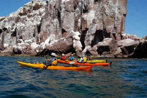 enriquearias72's profile picture. 