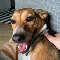 pari guél (@ananindeuo) 's Twitter Profile