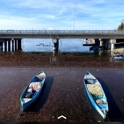 ZeynepAksan15's profile picture. 