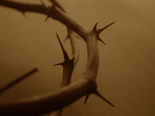 OccupyLent's profile picture. Contemplating the journey and disciplines of the holy season of Lent.