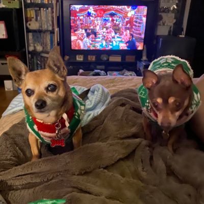 dianaels1962's profile picture. Ing. Bioquimica especializada en sistema de calidad, #pintora, #oleo, #acrílico, #redessociales, #communitymanager, #redactor #diseñologos