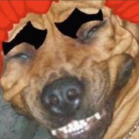 XBONESX (@xzquimerazx) 's Twitter Profile