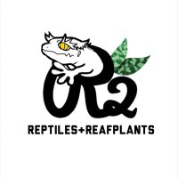R2@4/27近畿レプ 5/4JH大阪 (@r2_reptiles) 's Twitter Profile