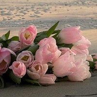 اميرةالورد✨💫✨ (@ommahamad08) 's Twitter Profile
