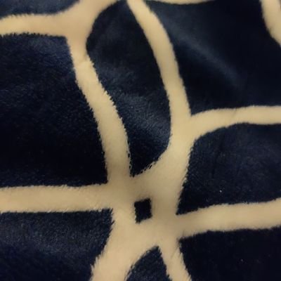 phoenix (inactive)さんのプロフィール画像