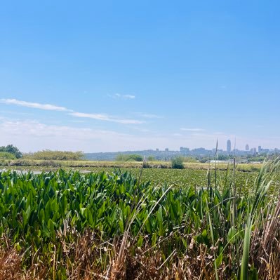 eduan_der's profile picture. 