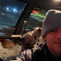 Chillfunguy (@thetowguyelp) 's Twitter Profile