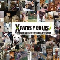 XPatasyColas (@xpatasycolas) 's Twitter Profile