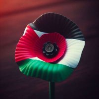 Assunta Lebsack (@assuntaleb10142) 's Twitter Profile