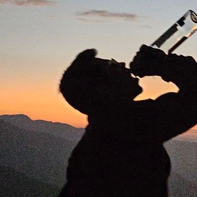 ZanwarSaket's profile picture. if you find this, just don't ask me any questions 🧑‍🦯
@iitdelhi