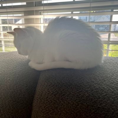 Verycoolname62's profile picture. 👋