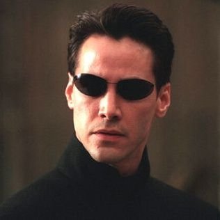 metehernandez6's profile picture. ∞