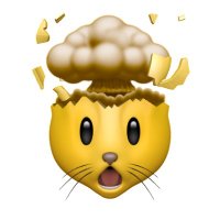 CRYPTOMS(Ø,G)🧢 (@cryptoms164) 's Twitter Profile