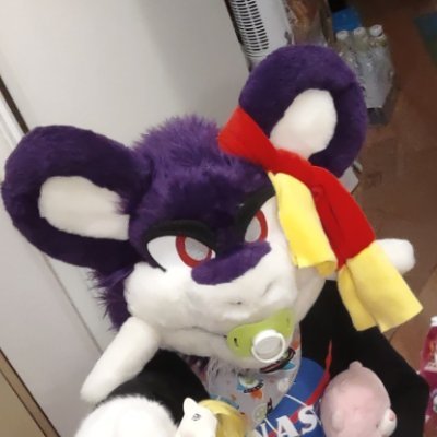 Forever a kid, made in the 90s.
Safe space and kidfur (no padding) side account for Khoufu @DatasBestFriend
Rattata fursuit is FEAR, lvl 1