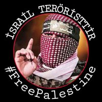 Mertkan Akcakoca (@mertkan6734) 's Twitter Profile