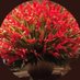 Humberto Friesen (@friesenhum47924) Twitter profile photo Humberto Friesen (@friesenhum47924) Twitter profile photo