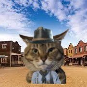 pepeisfunny2's profile picture. 