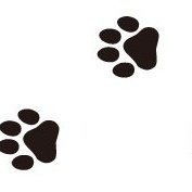 名古屋わんわんカフェバー（コスプレバー）60分4000円飲み放題!カラオケ🎤１人飲み、団体様、女性 (@wanwancafebar) Twitter profile photo