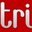 Identificação digital do jornal Tribuna da Cidade Nova (Região Nordeste de Belo Horizonte)