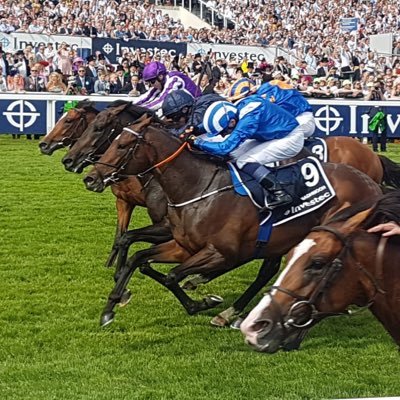 HamlynFinancial's profile picture. Retired Independent Financial Adviser and horse racing enthusiast