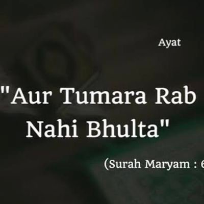 ZainabWarraic13's profile picture. 