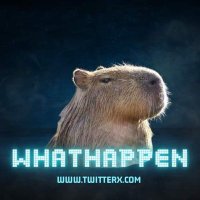 Mr.Hap (@mr_whathapened) 's Twitter Profile