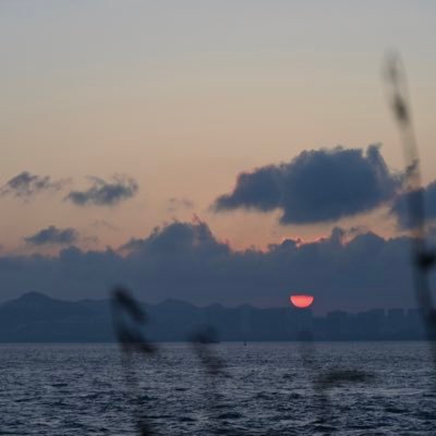 beiduiqing34125's profile picture. 