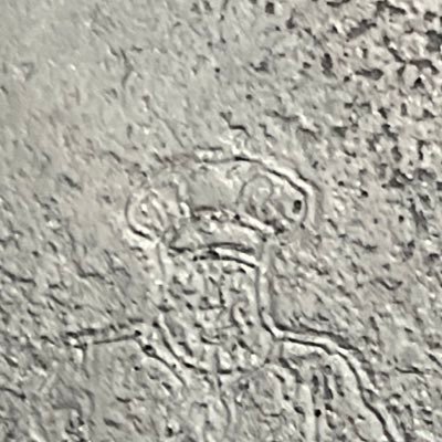 teekay719's profile picture. 